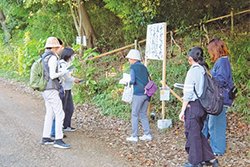 サトヤマアートサンポ