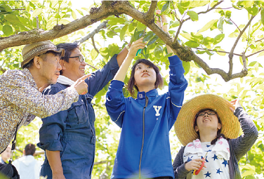 共通教養科目「地域デザイン」