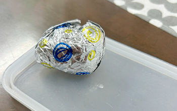 20250423_tamago2.jpg
