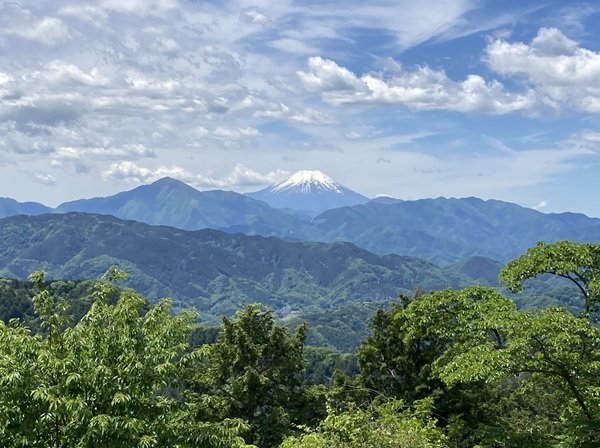 20260703_oonisit_takaosann1.jpg