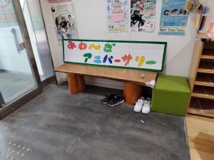 2025 miwa aniba-sari-3.JPG
