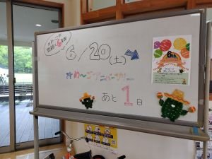 2026 miwa aniba-sari-1.JPG